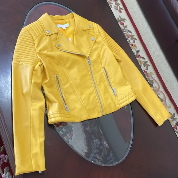 Jacket - Picture 8 of 15